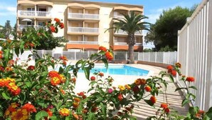 Un hôtel doté d’une piscine, entourée de fleurs aux couleurs vives et d’un palmier.