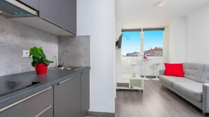 A modern kitchen with grey cabinets, a sink, and a red plant. There is a grey sofa with a red pillow in a living area with a window. - Port Mistral by Interhome (Empuriabrava)