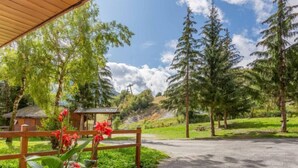 A paved driveway leading to a wooden structure with a roof, surrounded by lush greenery and tall trees.