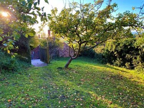 Stroll through a tranquil garden, surrounded by lush trees and shrubs, with an entrance via a stone pathway.