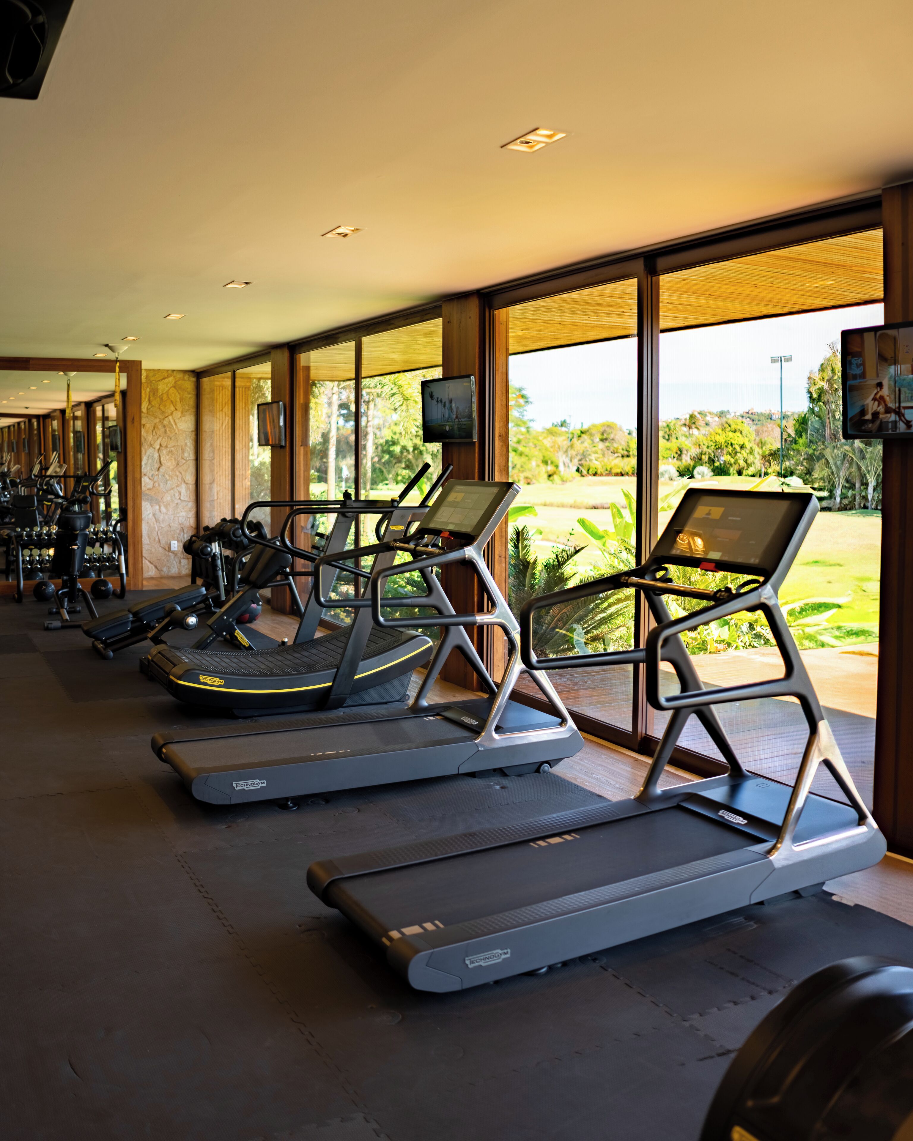 A gym with treadmills aligned in a row, large windows, and a view of greenery outside.