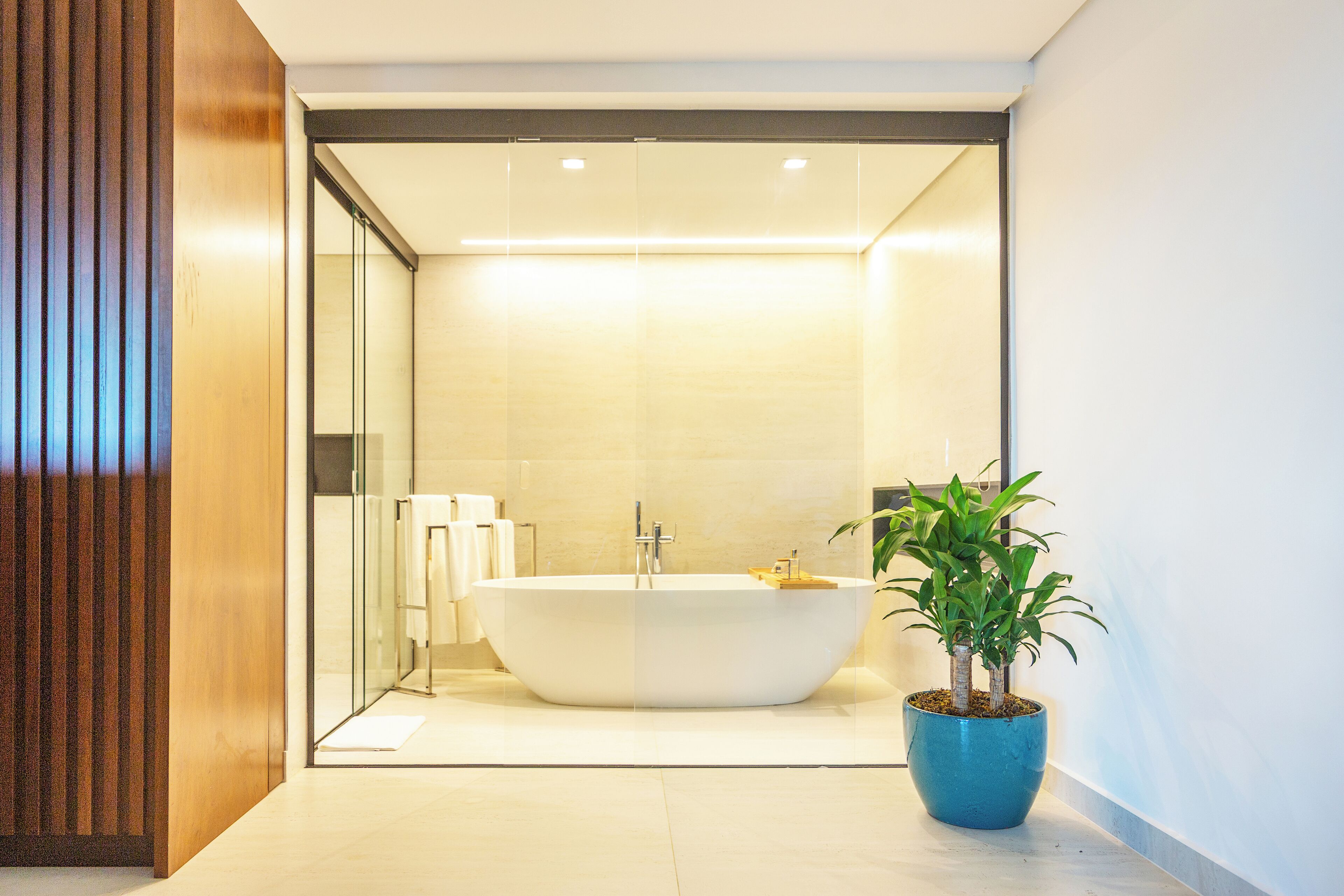 A modern bathroom with a freestanding bathtub, a potted plant, and a glass shower enclosure.