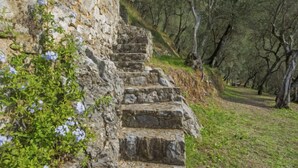 A stone staircase leading up a grassy slope, surrounded by trees and vegetation. - La Capannella by Interhome (Camaiore)