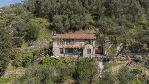 A stone house with a red-tiled roof, surrounded by dense forest and a stone staircase leading up. - La Capannella by Interhome (Camaiore)