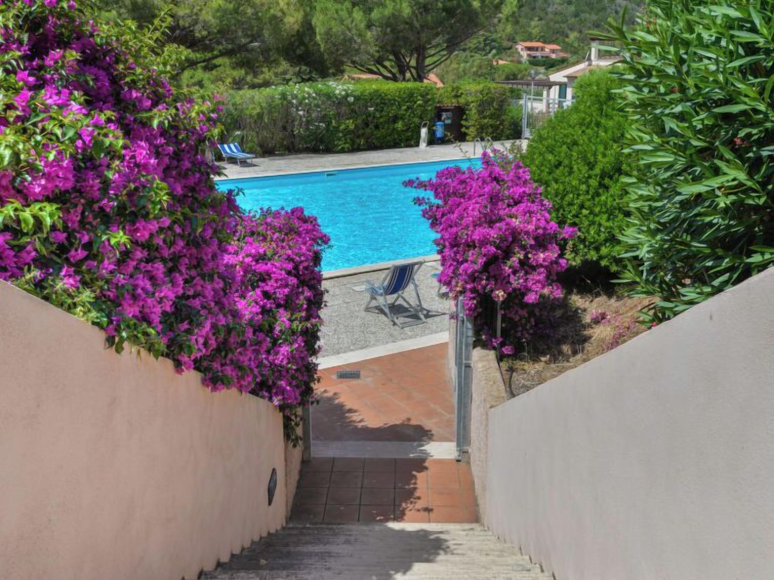 Una piscina con agua cristalina azul, rodeada de exuberante follaje y flores púrpuras.