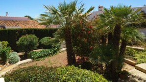 Un jardín con palmeras y arbustos diversos, un tejado de baldosas al fondo y un cielo azul despejado.