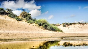 Ein sandiger Strand mit vereinzelter Vegetation und einem ruhigen Gewässer, das den Himmel spiegelt.