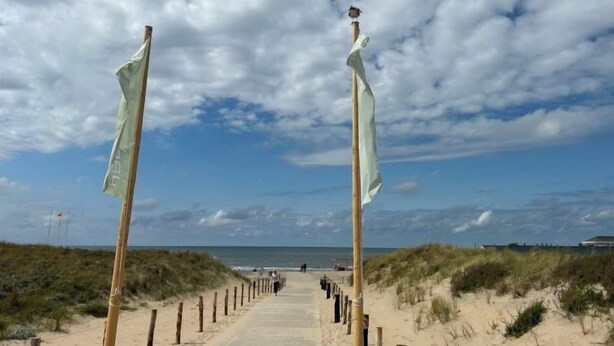 Un sendero bordeado por banderas que conduce al mar.