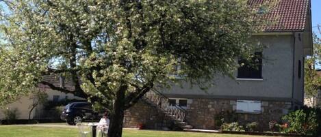 Une allée bordée d’arbres mène à une maison en pierre surmontée d’un toit de tuiles.