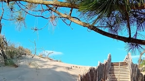 Property grounds - Vacation home Sicard by Interhome (Mimizan)