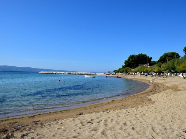 بالقرب من الشاطئ