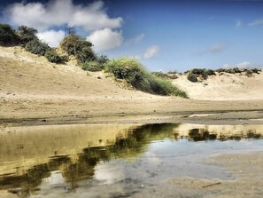 Vlak bij het strand