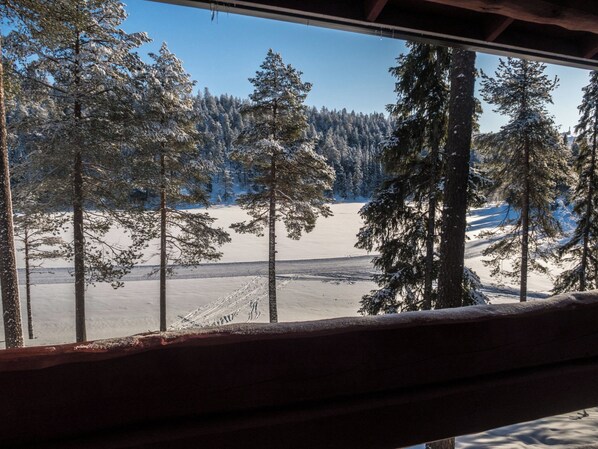 A snowy landscape with trees and a clear sky visible through a window.