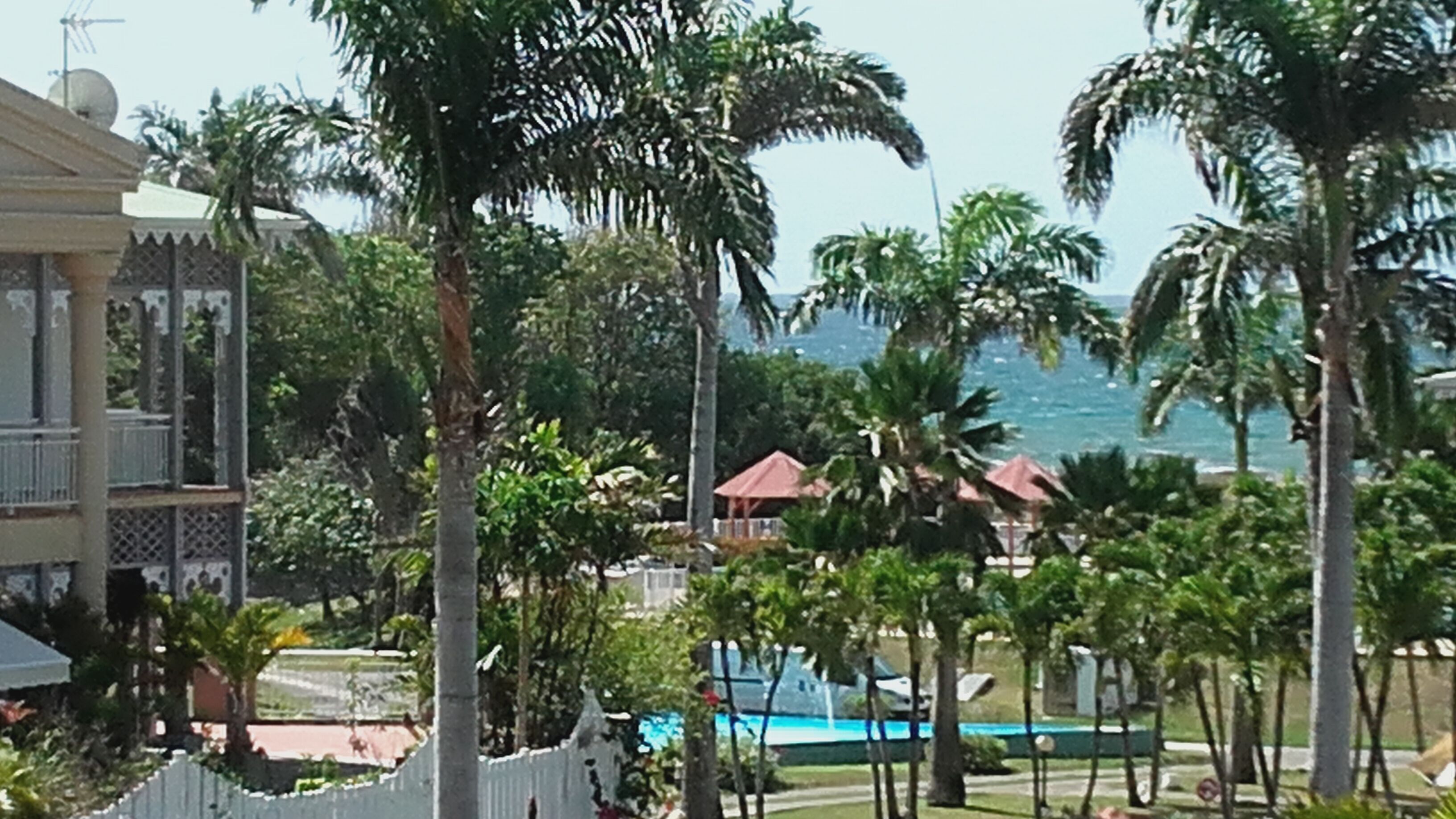 A resort with a pool, palm trees, and a view of the ocean.