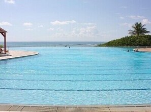 A clear blue pool with a wooden deck and a palm tree in the background.