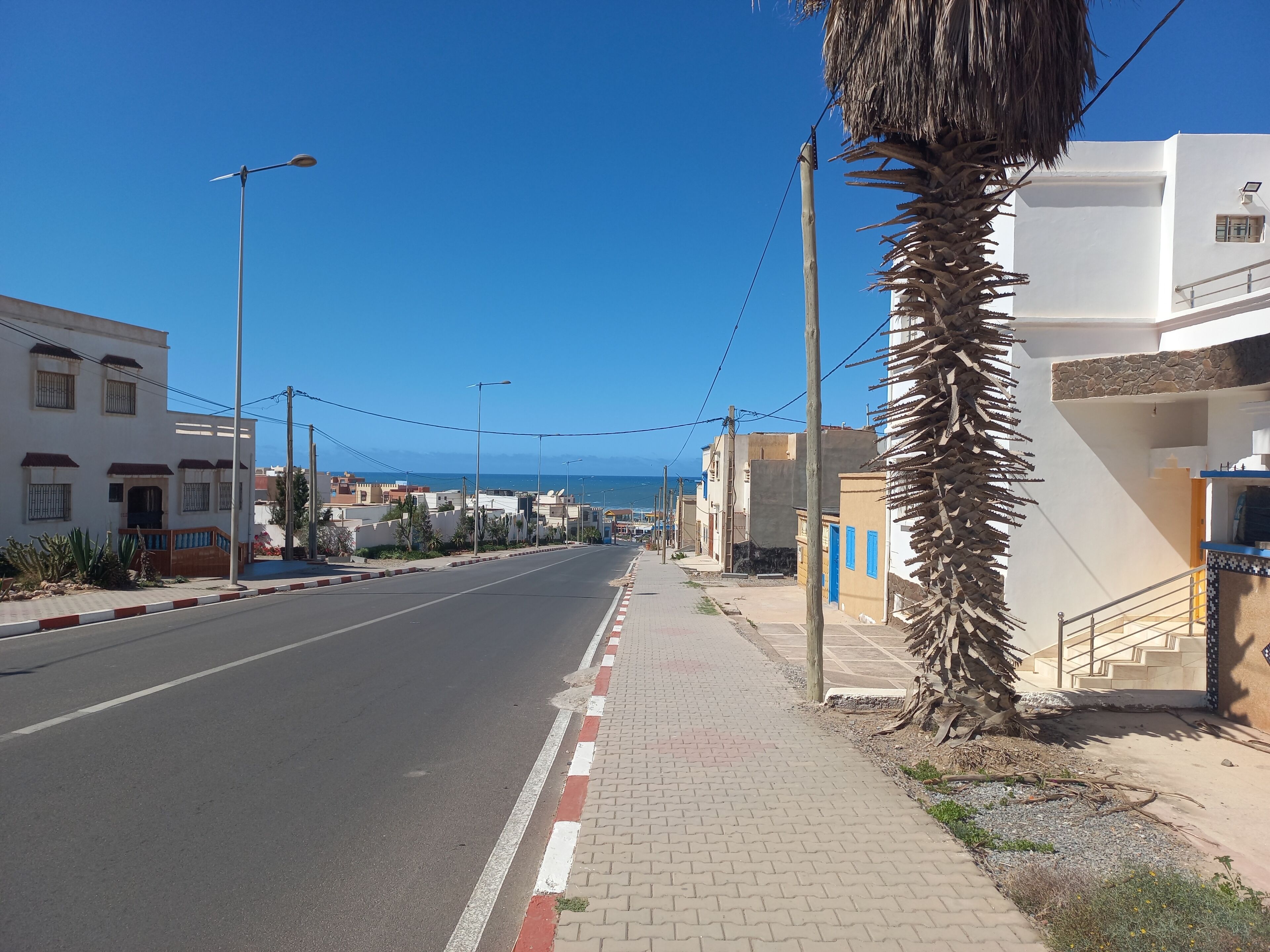 Un carrer marítim amb edificis, una palmera i un cel blau clar.