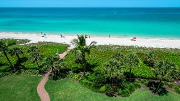 Plage, chaises longues, serviettes de plage