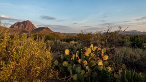 Un paysage désertique avec une montagne imposante en arrière-plan et un groupe de cactus au premier plan.