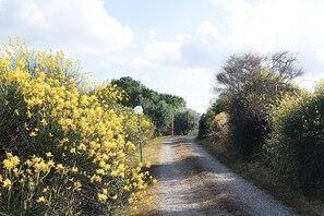 Property grounds - CHARMING DETACHED VILLA WITH A LARGE GARDEN, PRIVATE POOL AND STUNNING VIEW (Empoli)