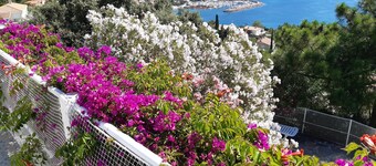 Villa with superb sea view , 6 people,  close to CANNES and SAINT TROPEZ