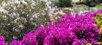 Villa avec superbe vue sur mer, 6 personnes, , proche Cannes et Saint-Tropez