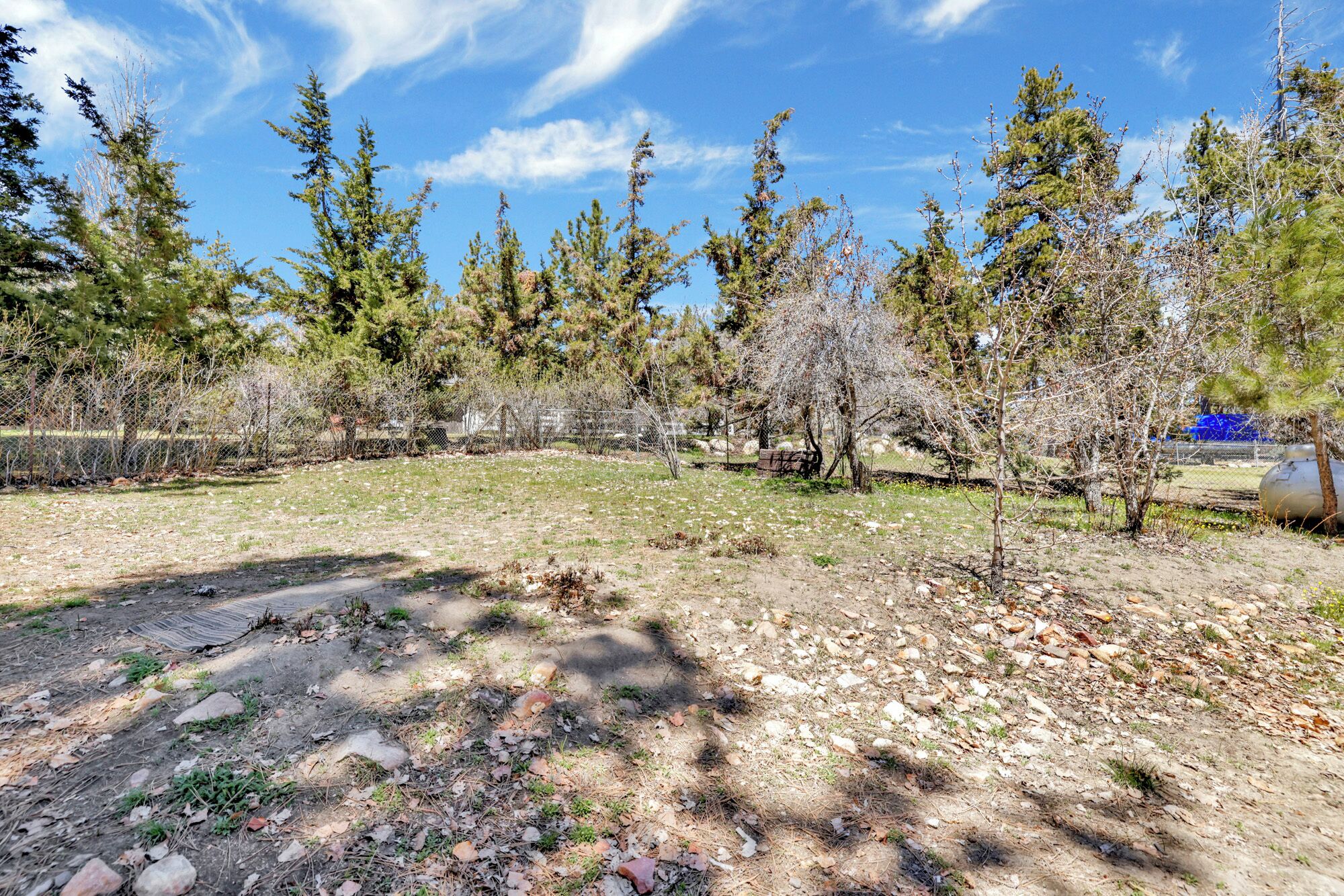 Un espace extérieur clôturé, agrémenté d’arbres et d’un sentier de terre.