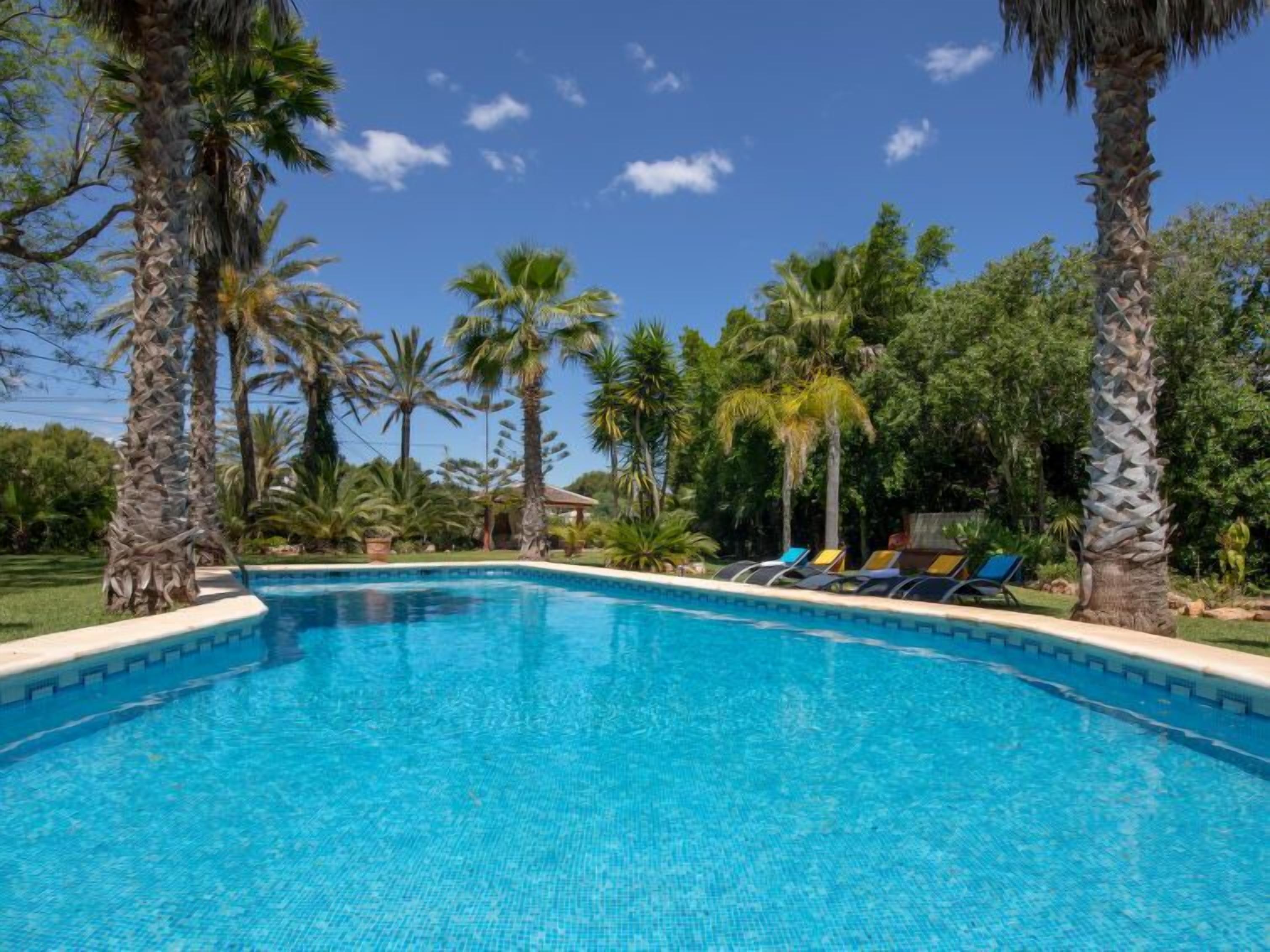 A clear blue swimming pool surrounded by palm trees and lounge chairs.