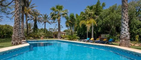 A clear blue swimming pool surrounded by palm trees and lounge chairs.
