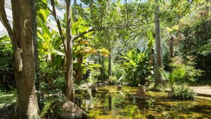 Un jardín tranquilo con un estanque, rodeado de abundante vegetación y árboles.