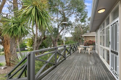 Bright & Airy & Close to Everything