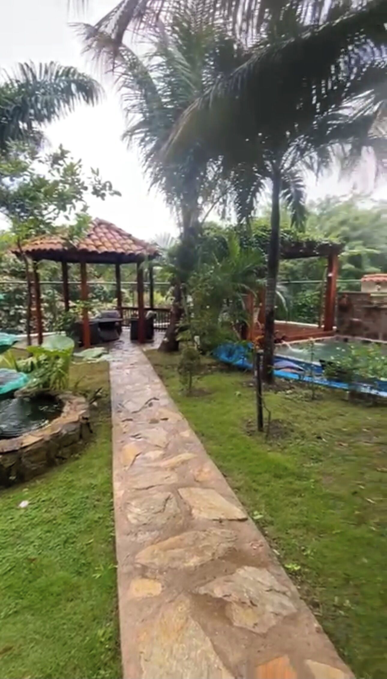 Jardines del alojamiento