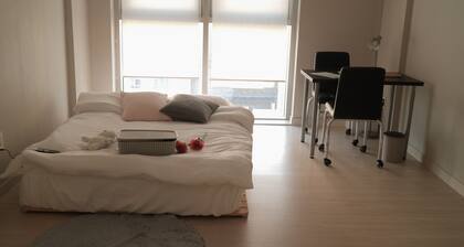 Noche Noche Residencia