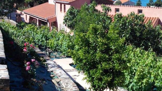 Una proprietà costiera con un vigneto, un vialetto in pietra e edifici con tetti in tegole rosse.