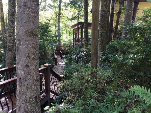 Property grounds - Mountain setting in magical Tusquetti Valley (Hayesville)