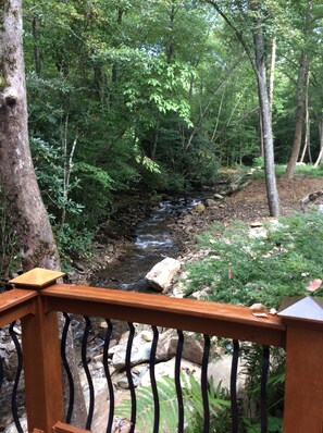 Property grounds - Mountain setting in magical Tusquetti Valley (Hayesville)