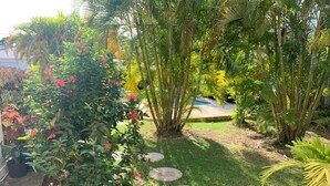 Un jardin avec un sentier, des palmiers et des plantes à fleurs.