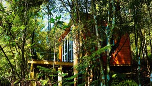 Une cabane perchée dans un arbre, dotée d’une terrasse en bois et de fenêtres en verre, entourée d’une forêt dense.