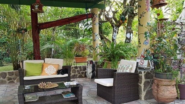 Un espace extérieur aménagé avec des meubles en osier, des murs en pierre et des plantes en pot.