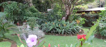 Cabanas Potosi, El Valle de Anton, Panama (Birders-Nature Lovers-Waterfalls-ETC)