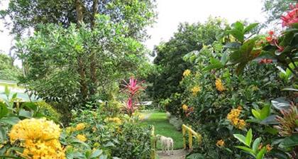 Cabanas Potosi, El Valle de Anton, Panama Birders-Nature Lovers-Waterfalls-ETC
