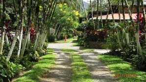 Un sentier bordé d’une végétation luxuriante et d’arbres, qui mène à un bâtiment doté d’un toit rouge.