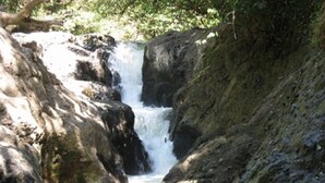 Une cascade d’eau se déversant sur un terrain rocheux, avec un ruisseau aux eaux claires en contrebas.