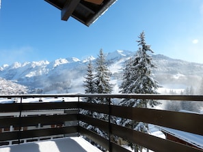 Ein Balkon mit Blick auf schneebedeckte Berge und Bäume.