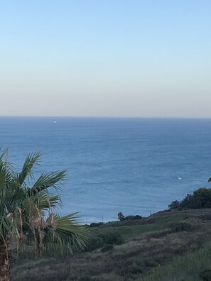 Immagine non classificata, 3 di 9, pulsante