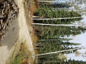 Property grounds - Beautiful Alaskan log cabin surrounded by woods. (Fairbanks)