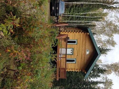 Beautiful Alaskan log cabin surrounded by woods.