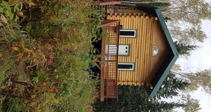 Beautiful Alaskan log cabin surrounded by woods.