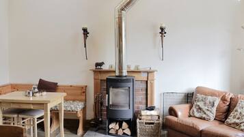 TV, fireplace, DVD player, books