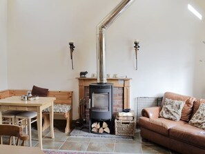 TV, fireplace, DVD player, books