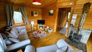 TV, fireplace, DVD player, books